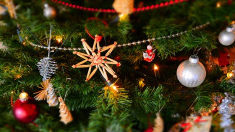 Winter Promotion at Sunnyvale, California